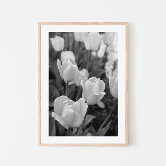 Tulips (Portrait)
