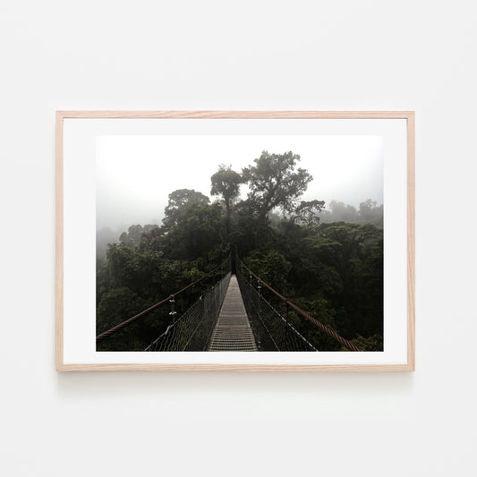 Costa Rica Cloudforest