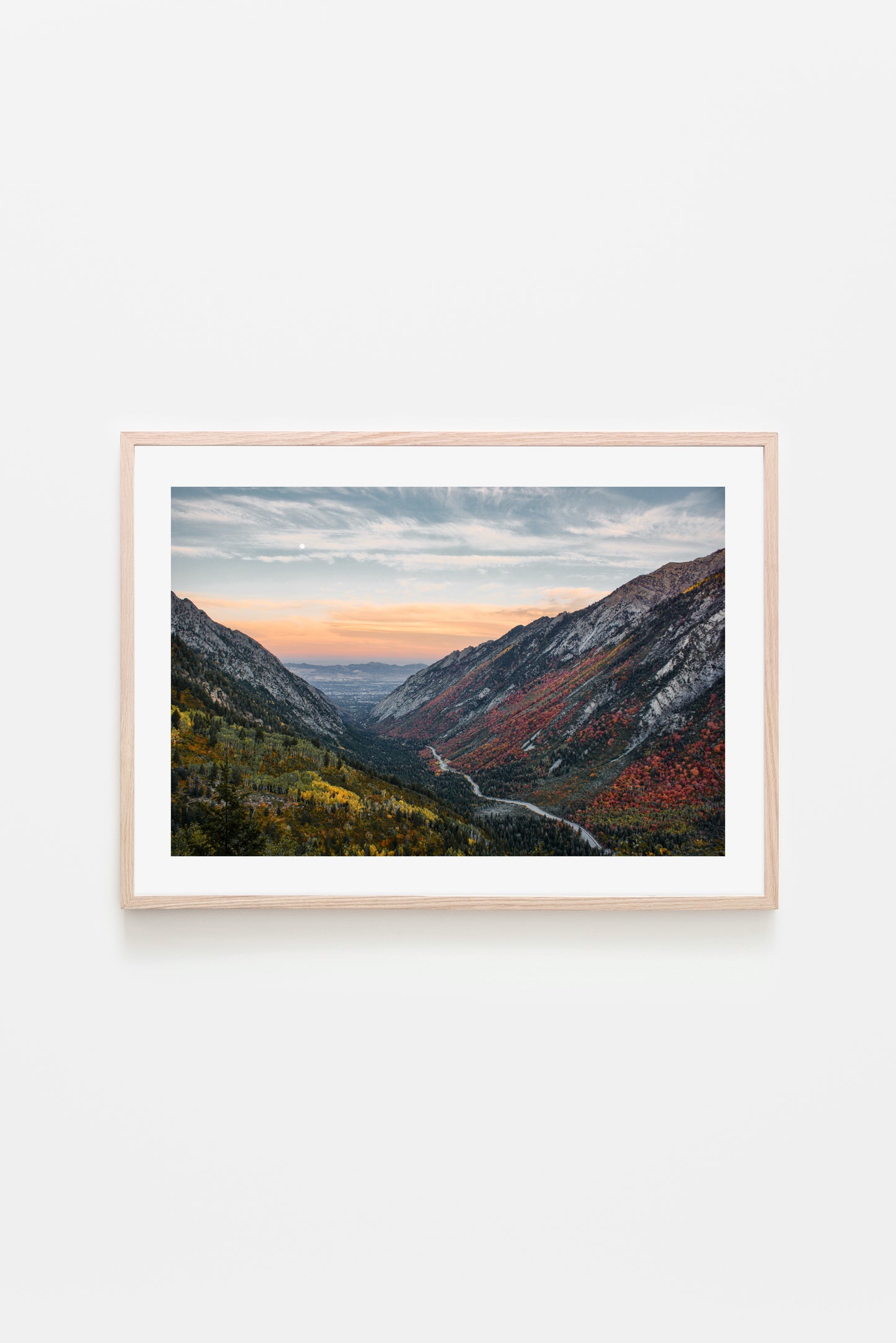 Little Cottonwood Canyon: Vista