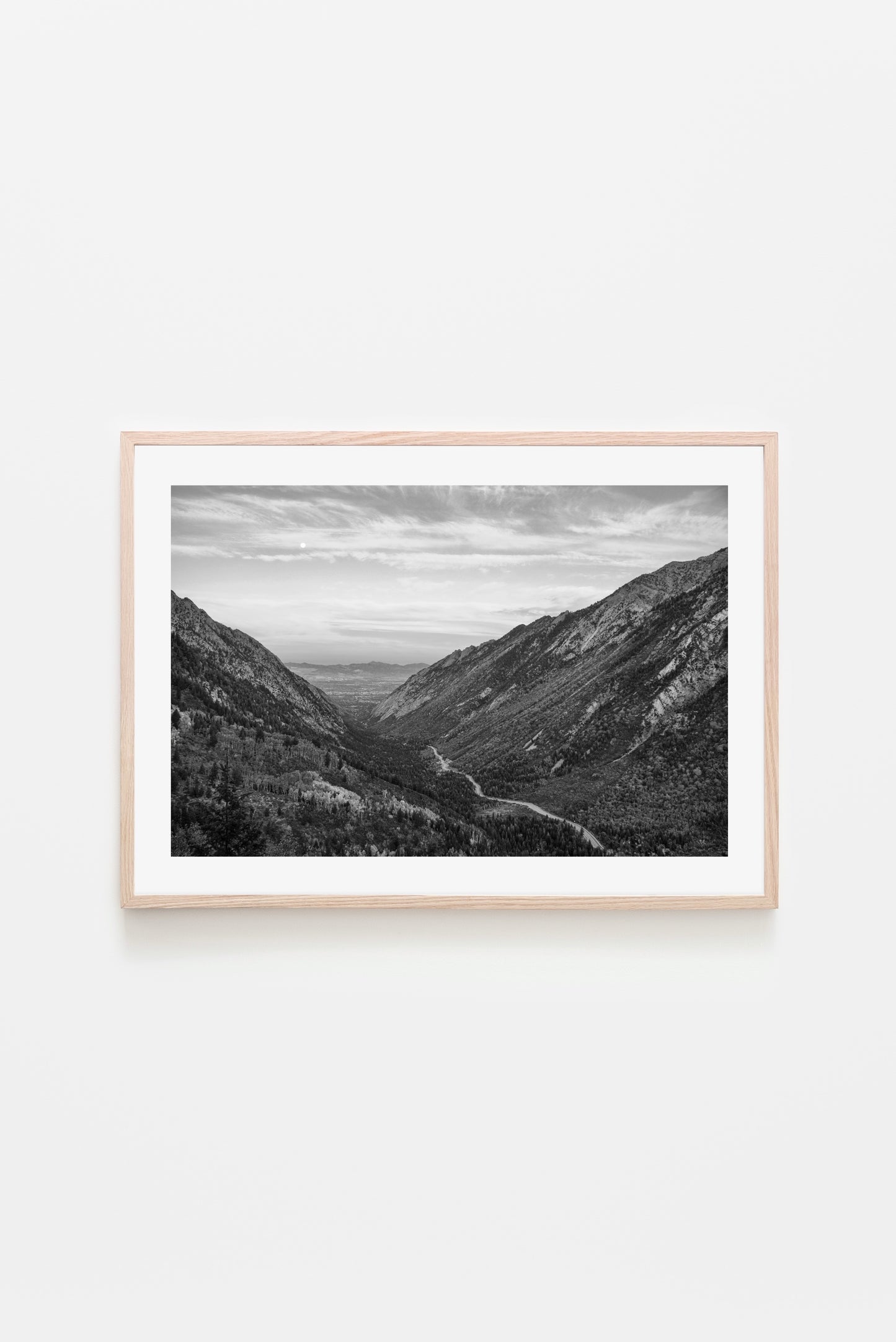 Little Cottonwood Canyon: Vista