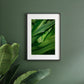 Hawaii: Gecko
