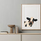 Holstein Cow 3