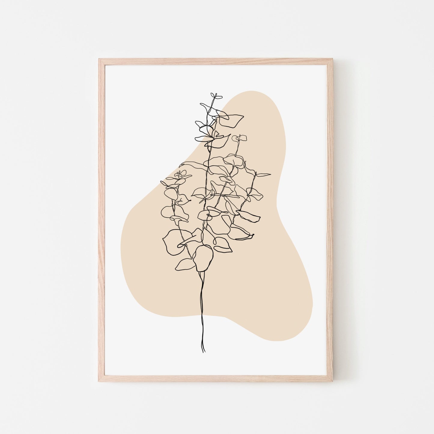 Eucalyptus