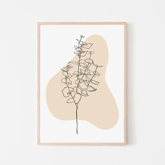 Eucalyptus