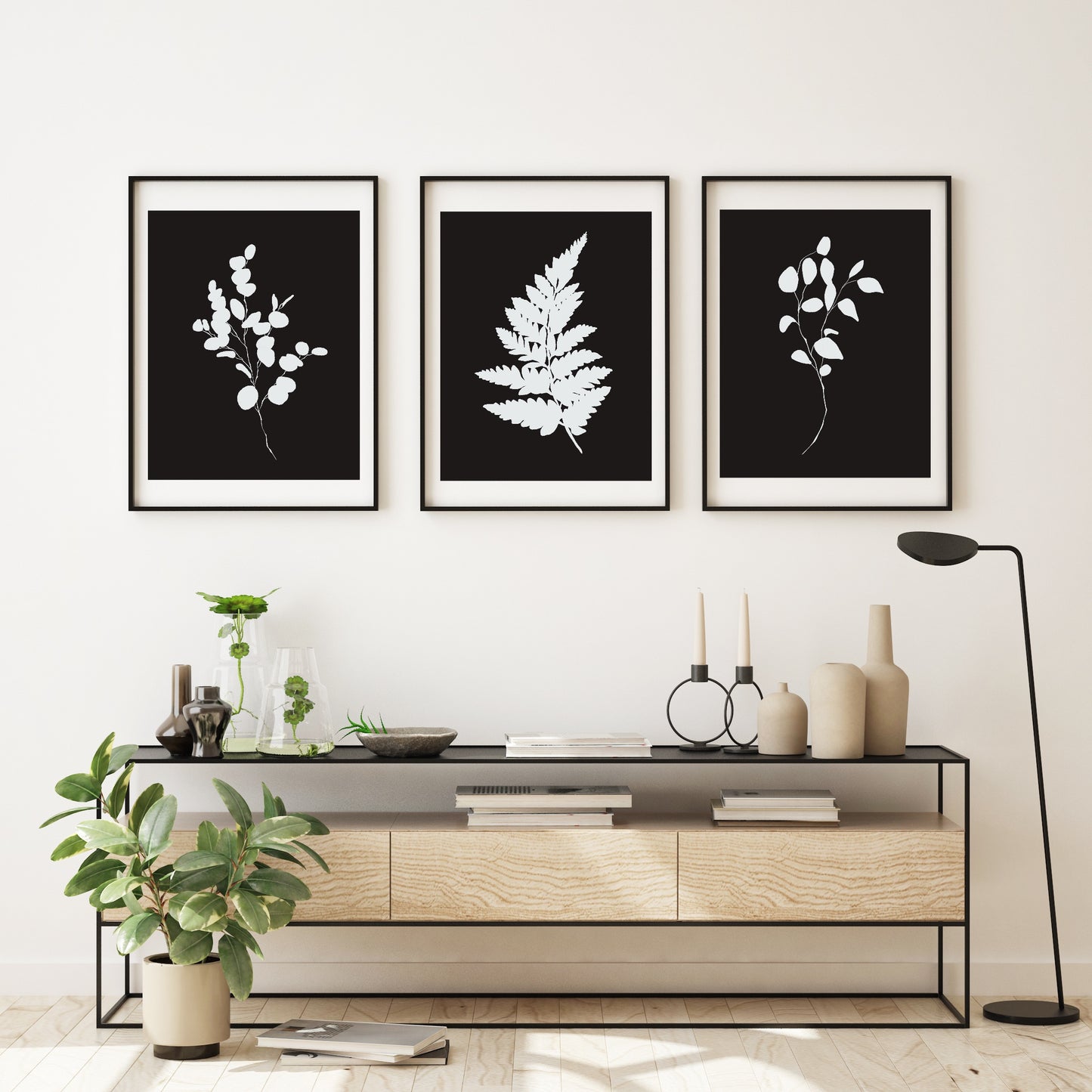Fern