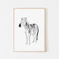 zebra