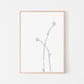 Wildflower Collection 2