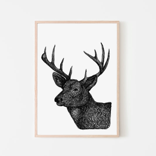 Deer