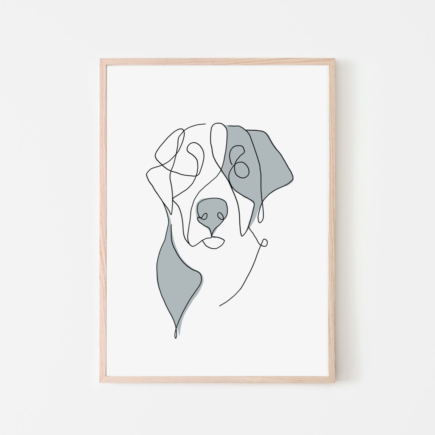 Bernese Mountain Dog